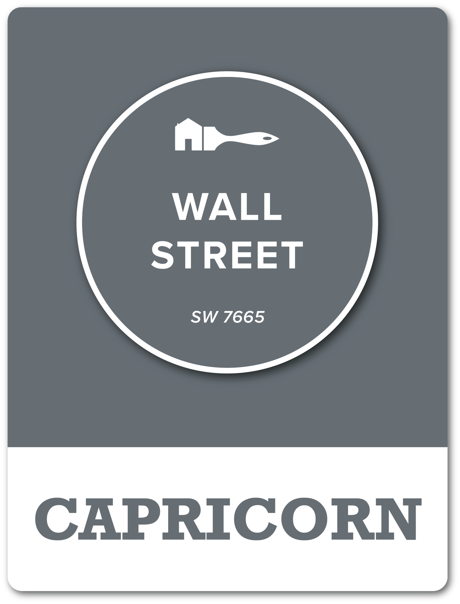   Capricorn (December 22 – January 19) - Wall Street