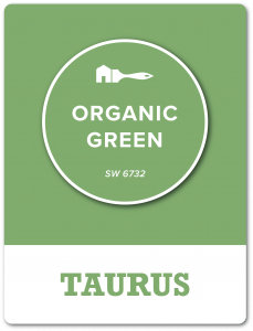 Taurus Perfect Paint Color